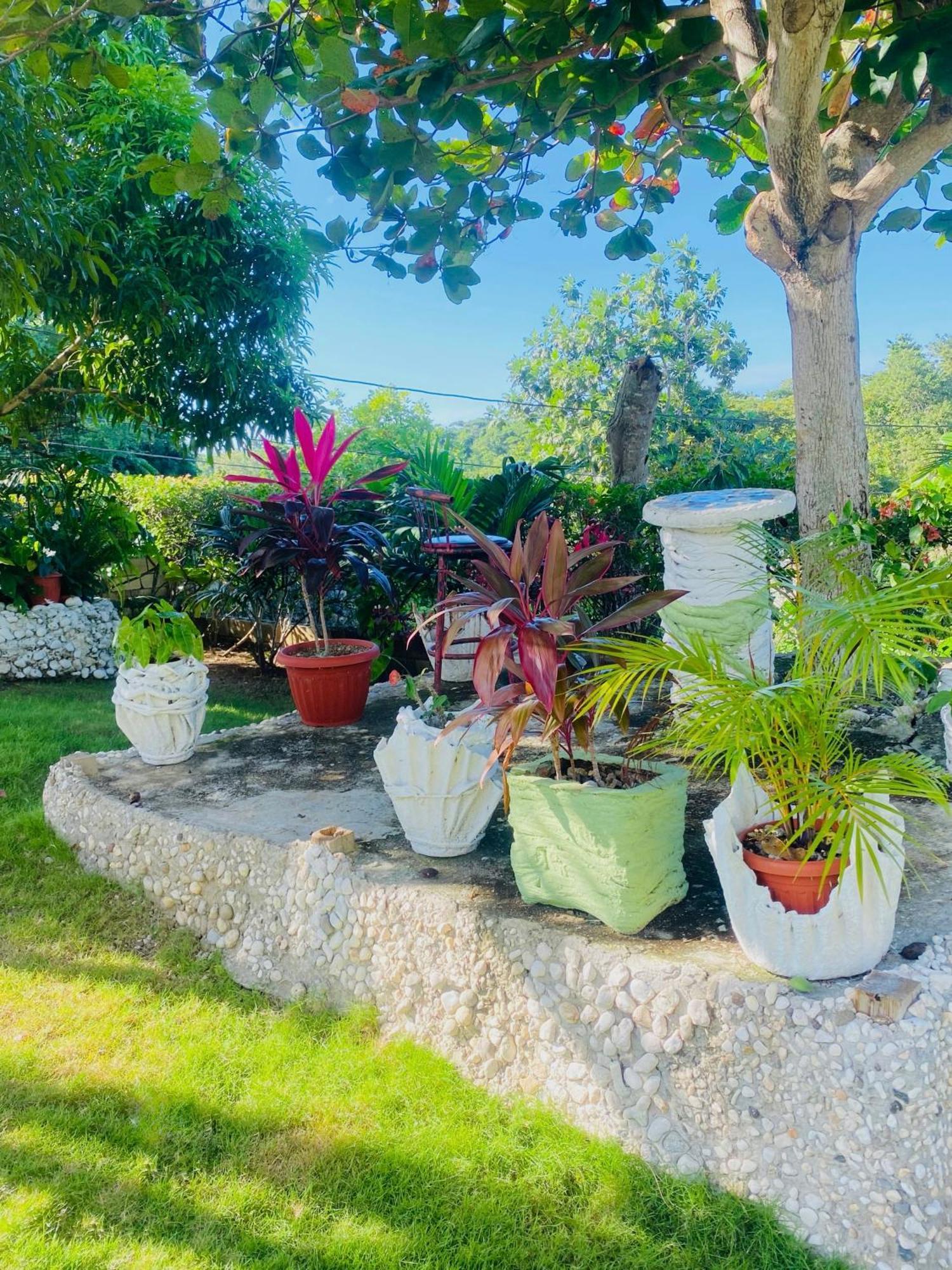 Cindy'S Garden Stay オーチョ・リオス エクステリア 写真