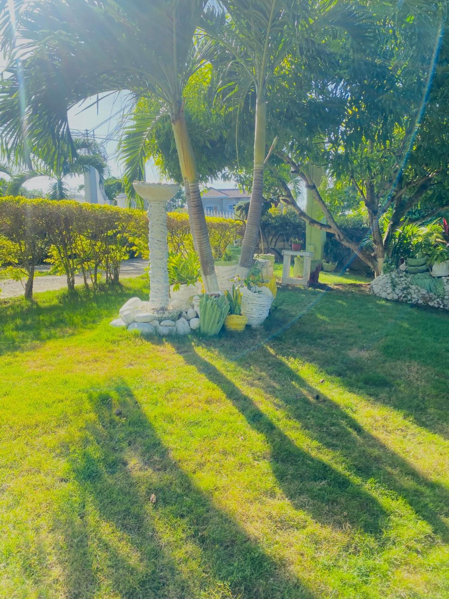 Cindy'S Garden Stay オーチョ・リオス エクステリア 写真